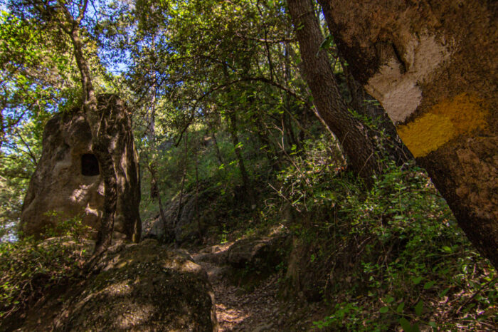 Ruta de la Bruixa Napa