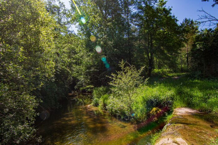 Itinerari de natura per la Riera Gavarresa