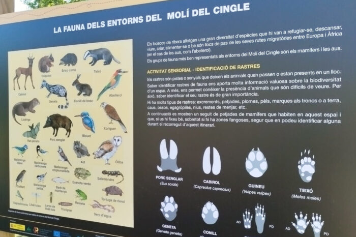 Itinerari Molí del Cingle